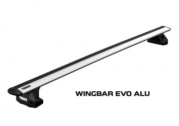 Wingbar evo alu  fix